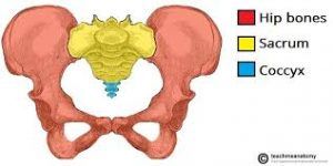 Cancer Exercise, Woopi Physio,